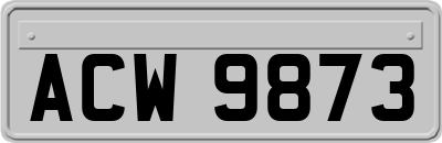 ACW9873