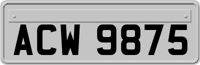 ACW9875