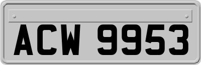 ACW9953
