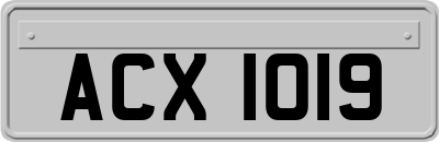 ACX1019