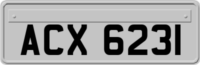 ACX6231