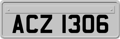 ACZ1306