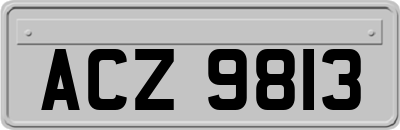 ACZ9813
