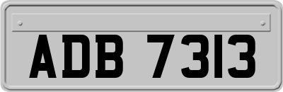 ADB7313