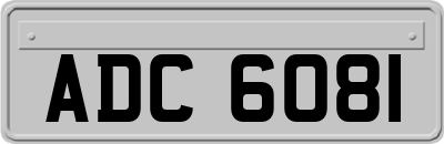 ADC6081