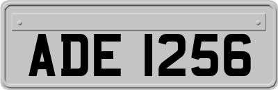 ADE1256