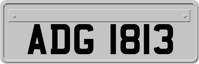 ADG1813