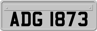 ADG1873