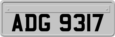 ADG9317