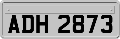 ADH2873