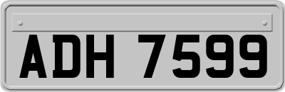 ADH7599