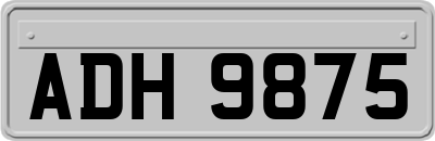 ADH9875