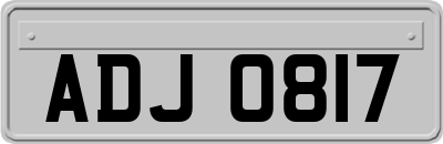 ADJ0817
