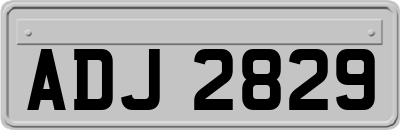 ADJ2829