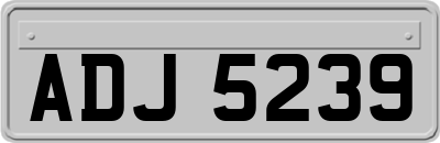 ADJ5239