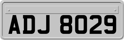 ADJ8029