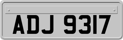 ADJ9317