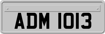 ADM1013