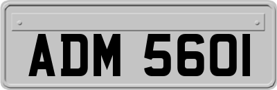 ADM5601