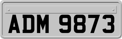 ADM9873