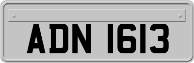 ADN1613