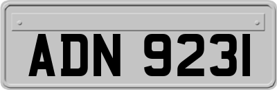 ADN9231
