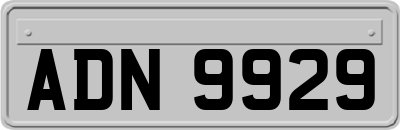ADN9929
