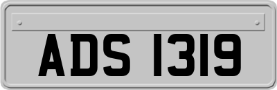ADS1319