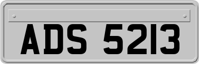 ADS5213