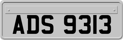 ADS9313