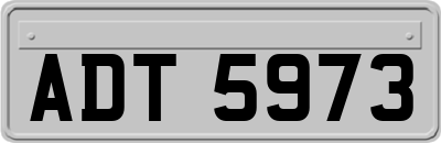 ADT5973