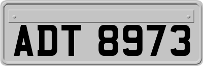 ADT8973