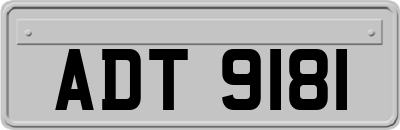 ADT9181