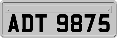 ADT9875