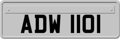 ADW1101