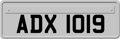 ADX1019