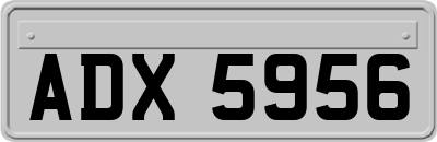 ADX5956