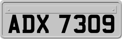 ADX7309