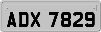 ADX7829