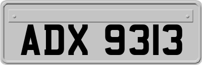 ADX9313