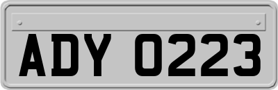 ADY0223
