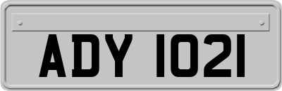 ADY1021