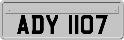 ADY1107