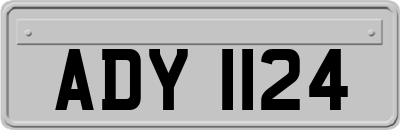 ADY1124