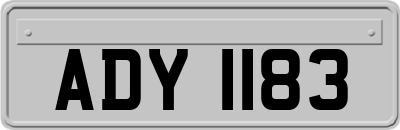 ADY1183