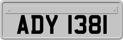 ADY1381