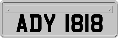 ADY1818
