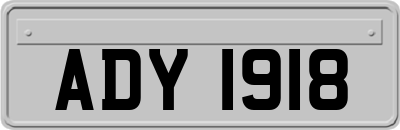 ADY1918