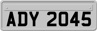 ADY2045