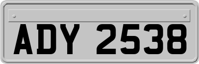 ADY2538